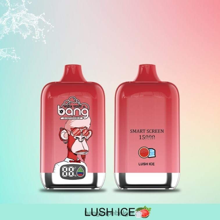 Bang Vape Digital Smart Screen 15000 trekjes 25ml wegwerpbaar 4FB4R11 - Bang Vape België