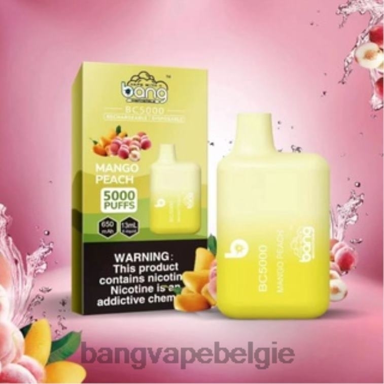 Bang Vape Box BC5000 5% nic 5000 soesjes pen type-c oplaadbaar wegwerpbaar 4FB4R9 - Bang Disposable Vape Flavors