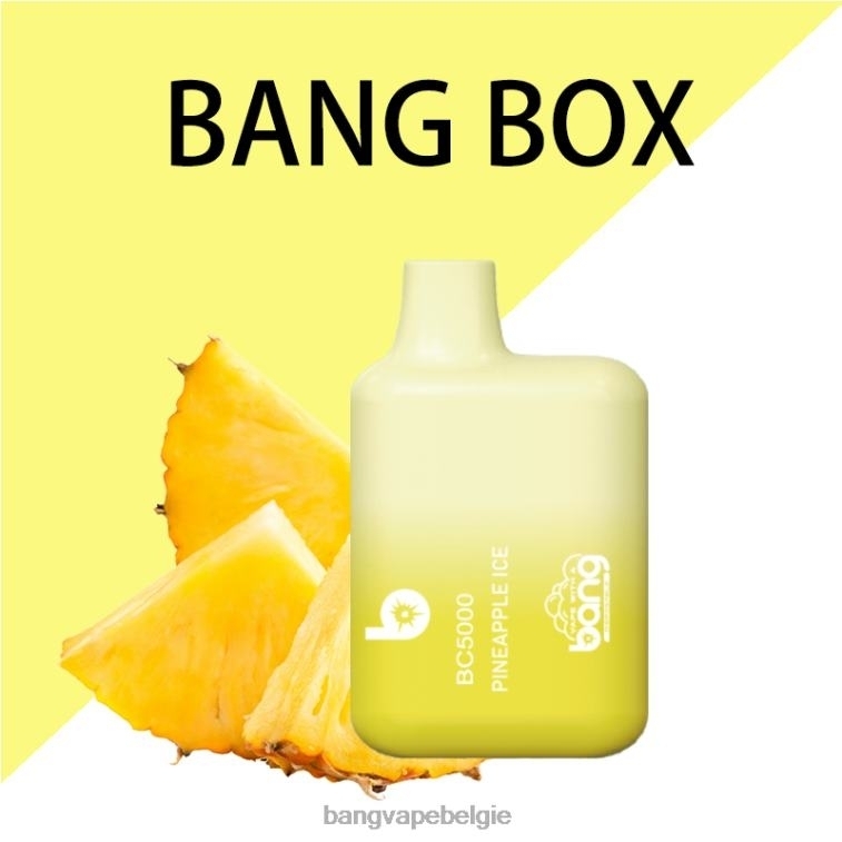 Bang Vape Box BC5000 5% nic 5000 soesjes pen type-c oplaadbaar wegwerpbaar 4FB4R9 - Bang Disposable Vape Flavors