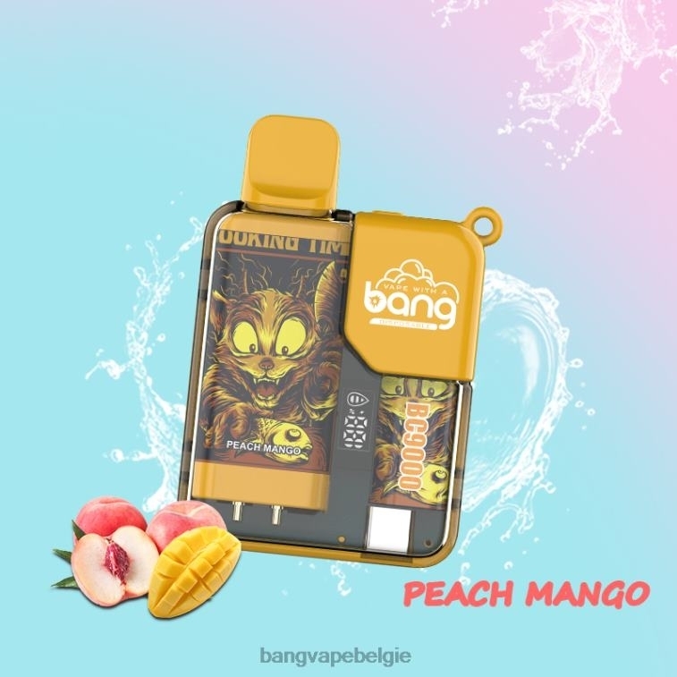 Bang Vape Box BC9000 voorgevuld 16ml wegwerpbaar 4FB4R6 - Bang Box Vape Flavors
