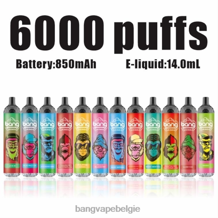 Bang Vape King 6000 trekjes 5% nic oplaadbaar type-c wegwerpbaar 4FB4R8 - Bang Vape Flavors