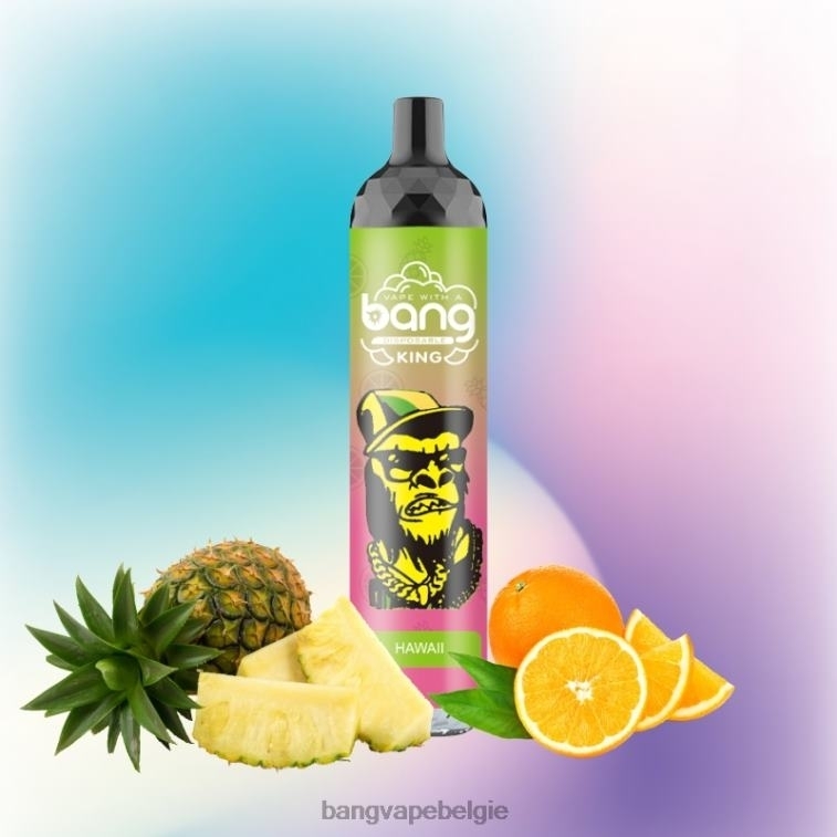 Bang Vape King 6000 trekjes 5% nic oplaadbaar type-c wegwerpbaar 4FB4R8 - Bang Vape Flavors