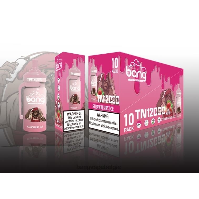 Bang Vape TN12000 pod met mesh-spoel wegwerpbaar 4FB4R5 - Vape Gang Flavors