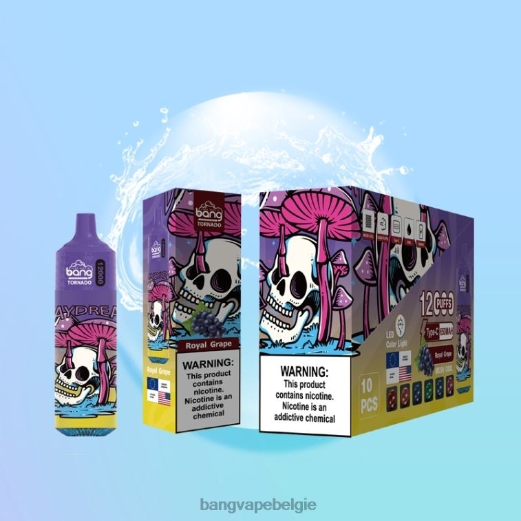 Bang Vape Tornado 12.000 trekjes met led- en mesh-spoel wegwerpbaar 4FB4R4 - Vape Gang Disposables