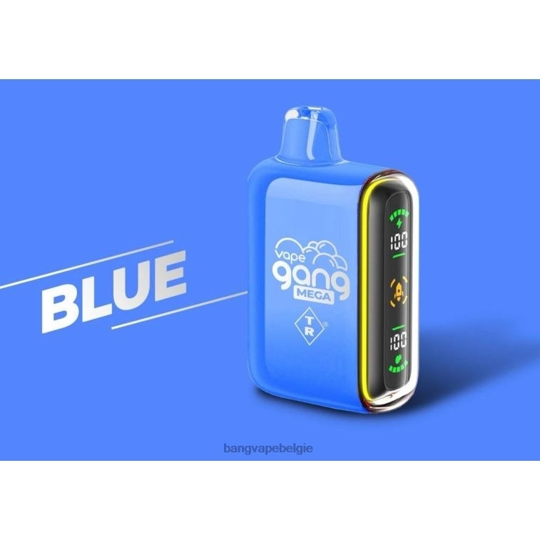 Vape Gang MEGA 20.000 pufjes wegwerpvape (doos van 5) blauw 4FB4R52 - Bang Vape België