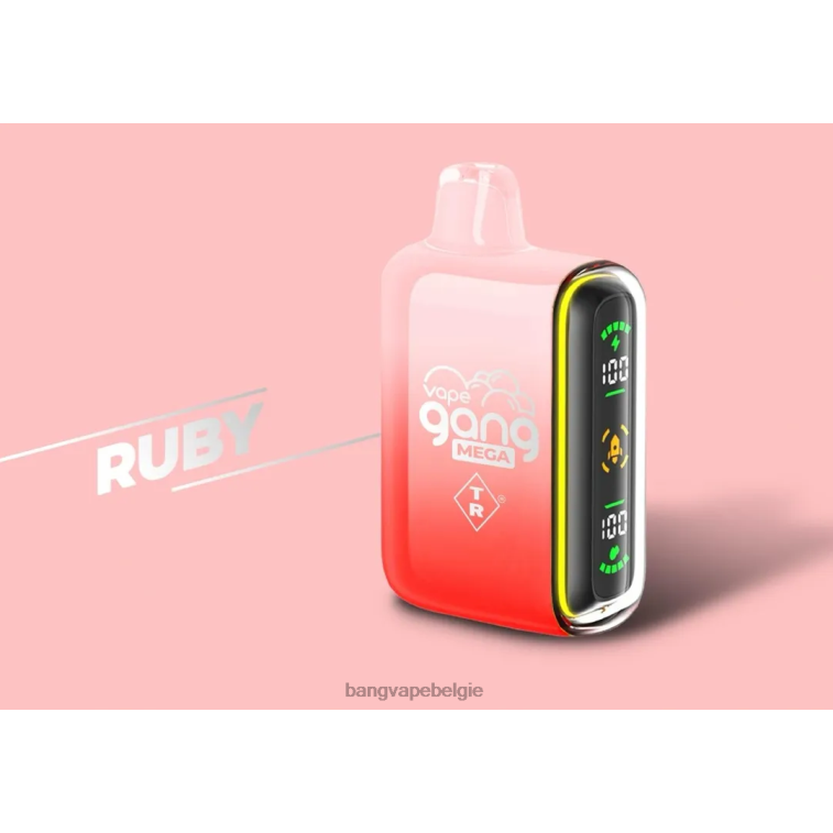 Vape Gang MEGA 20.000 pufjes wegwerpvape (doos van 5) robijn 4FB4R58 - Bang Box Vape Flavors