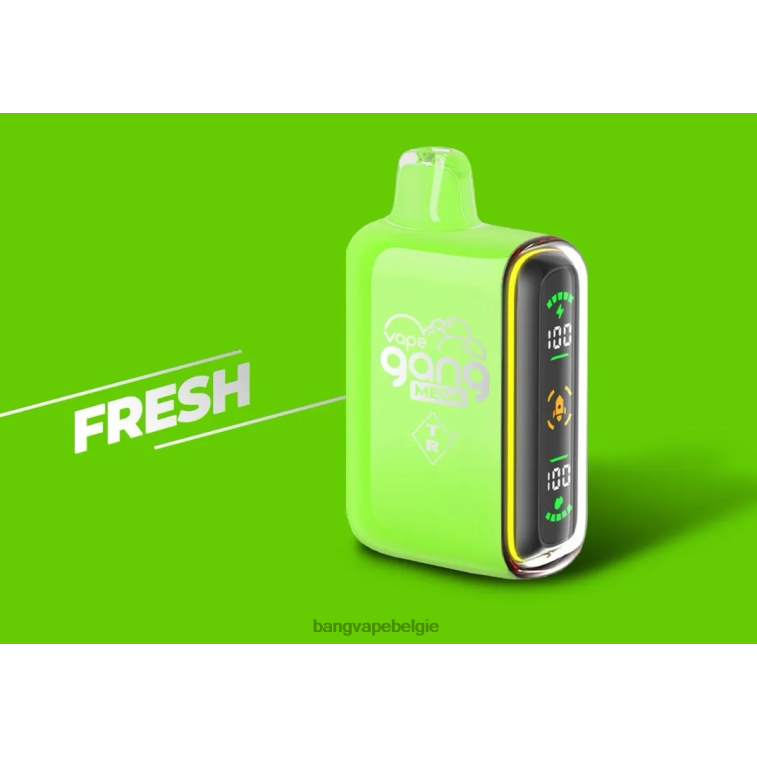 Vape Gang MEGA 20.000 pufjes wegwerpvape (doos van 5) vers 4FB4R53 - Bang Vape Brussel