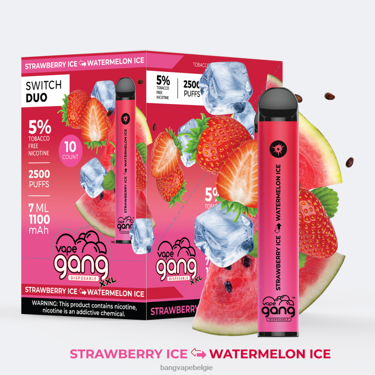 Vape Gang Switch Duo 2 smaken (doos van 10) aardbeienijs - watermeloenijs 4FB4R47 - Bang Box Vape Review