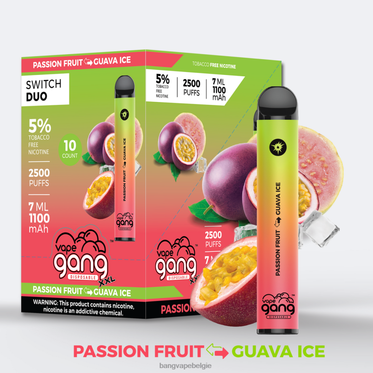 Vape Gang Switch Duo 2 smaken (doos van 10) passievrucht - guave-ijs 4FB4R44 - Vape Gang Disposables