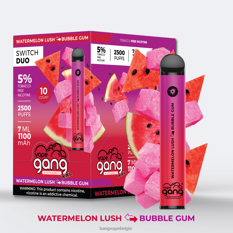 Vape Gang Switch Duo 2 smaken (doos van 10) watermeloen weelderig - kauwgom 4FB4R49 - Bang Disposable Vape Flavors