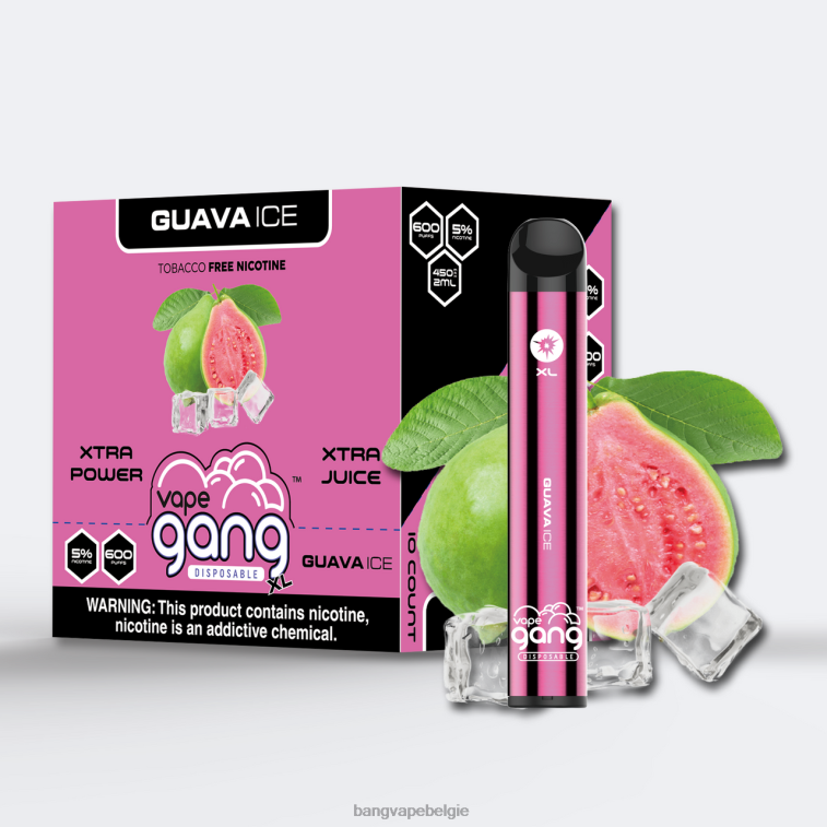 guave-ijs